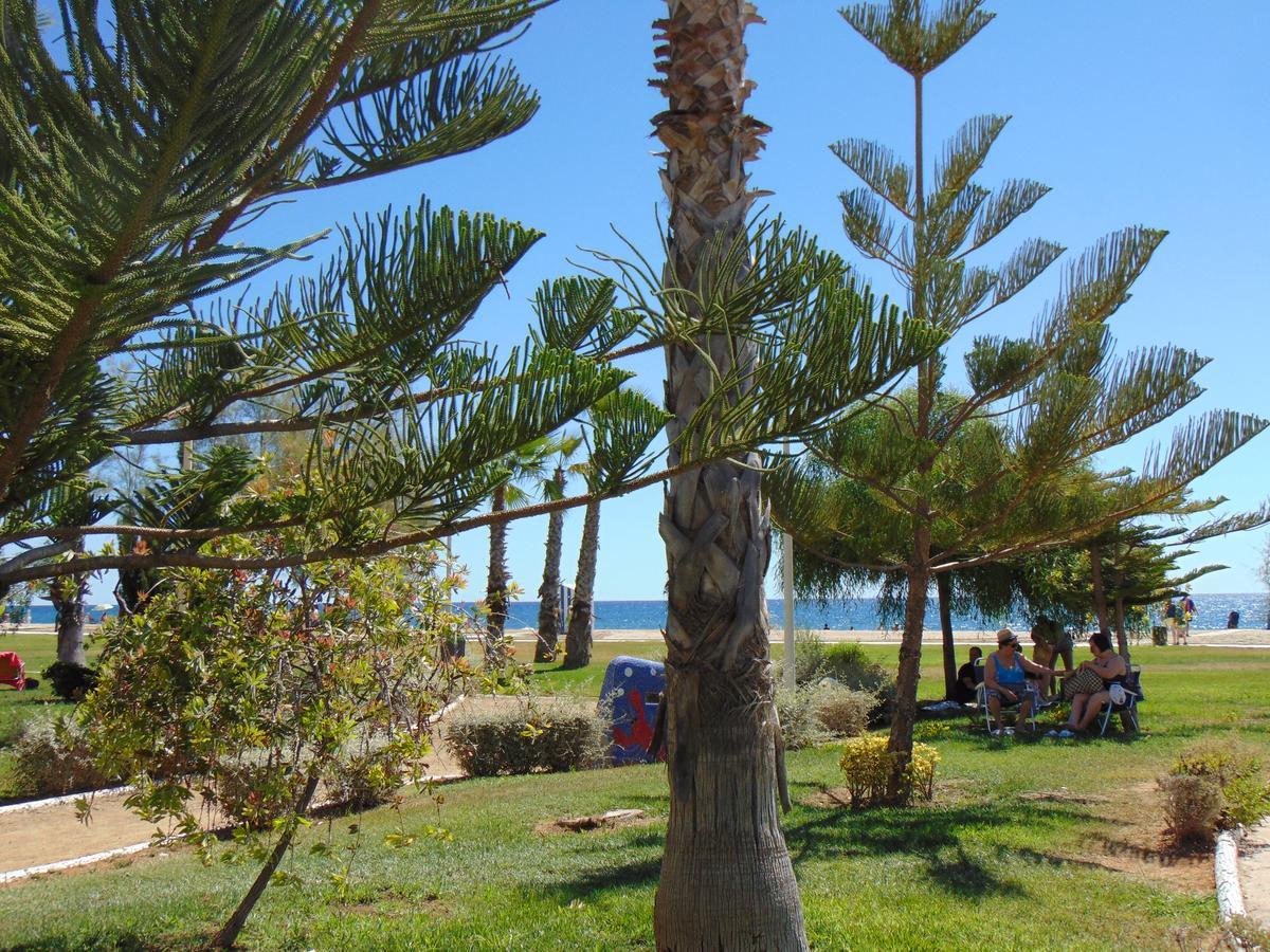 אורופסה דל מר Apartamentos Varios Con 2 Dorm En Marina Dor , La Playa De Amplaries 47 , Vista Lateral Al Mar מראה חיצוני תמונה