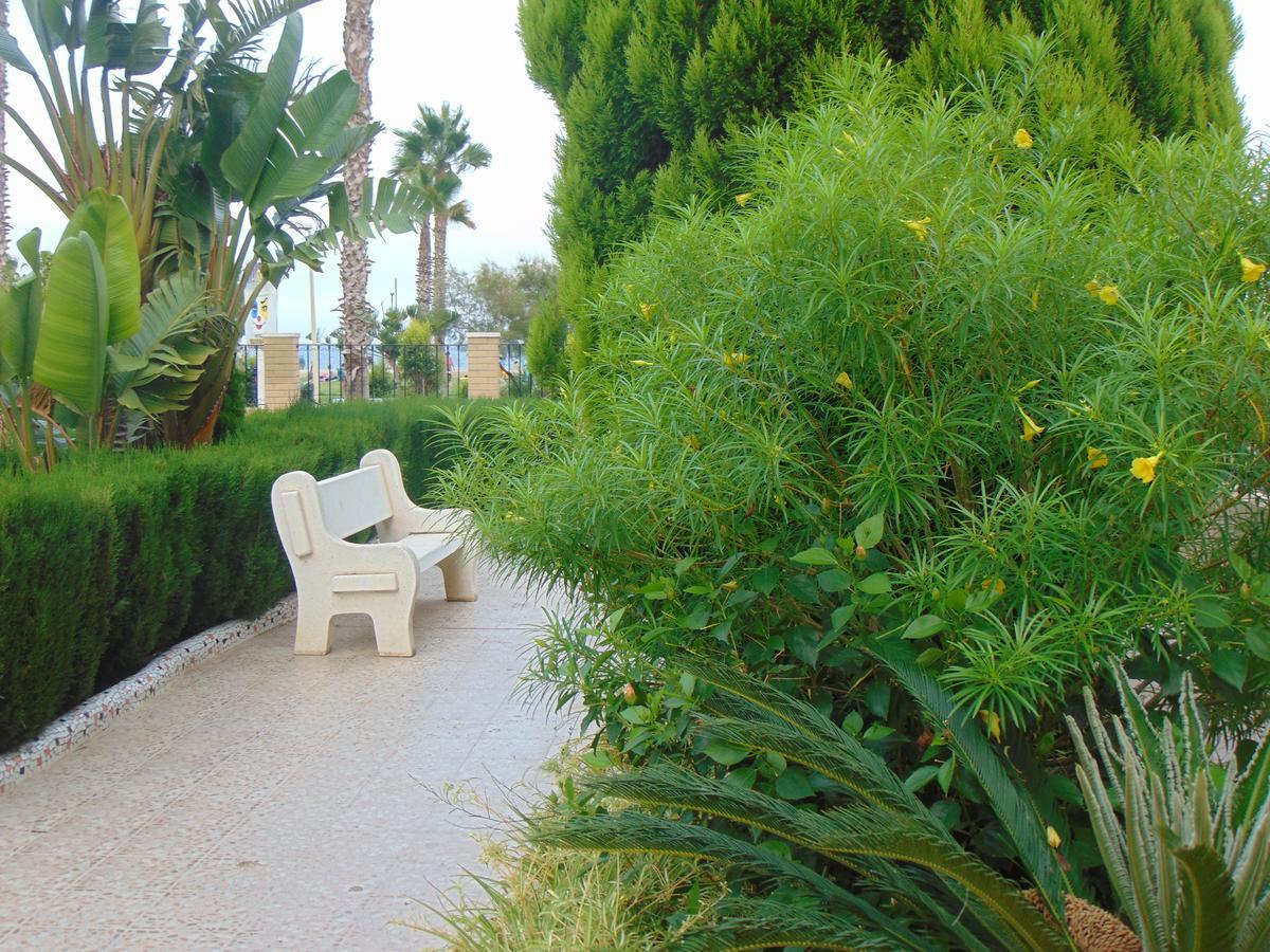 אורופסה דל מר Apartamentos Varios Con 2 Dorm En Marina Dor , La Playa De Amplaries 47 , Vista Lateral Al Mar מראה חיצוני תמונה